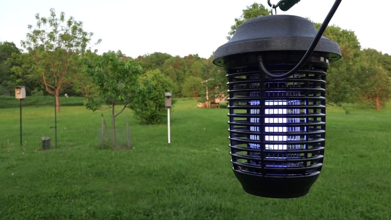 Best Fly Zappers