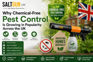 Pest Control