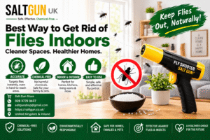 Flies Indoors